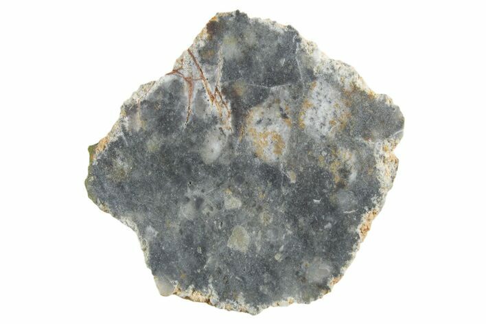 Lunar Meteorite ( g) Slice - Bechar #348166